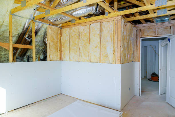 Best Residential Insulation in Chrisman, IL