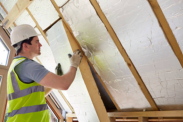 Professional Insulation Contractor in IL